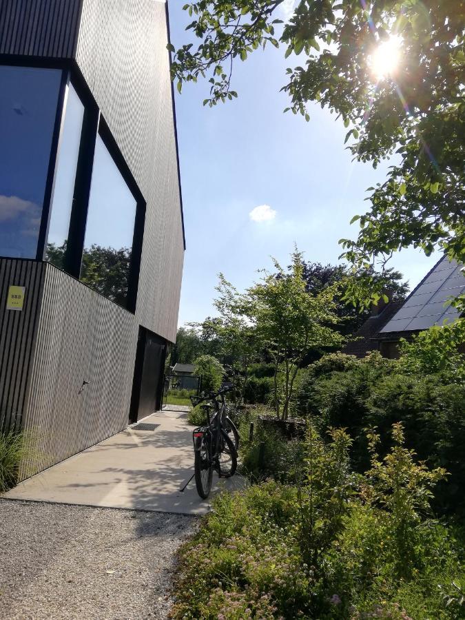 Wetteren B&B De Stuifduinen מראה חיצוני תמונה