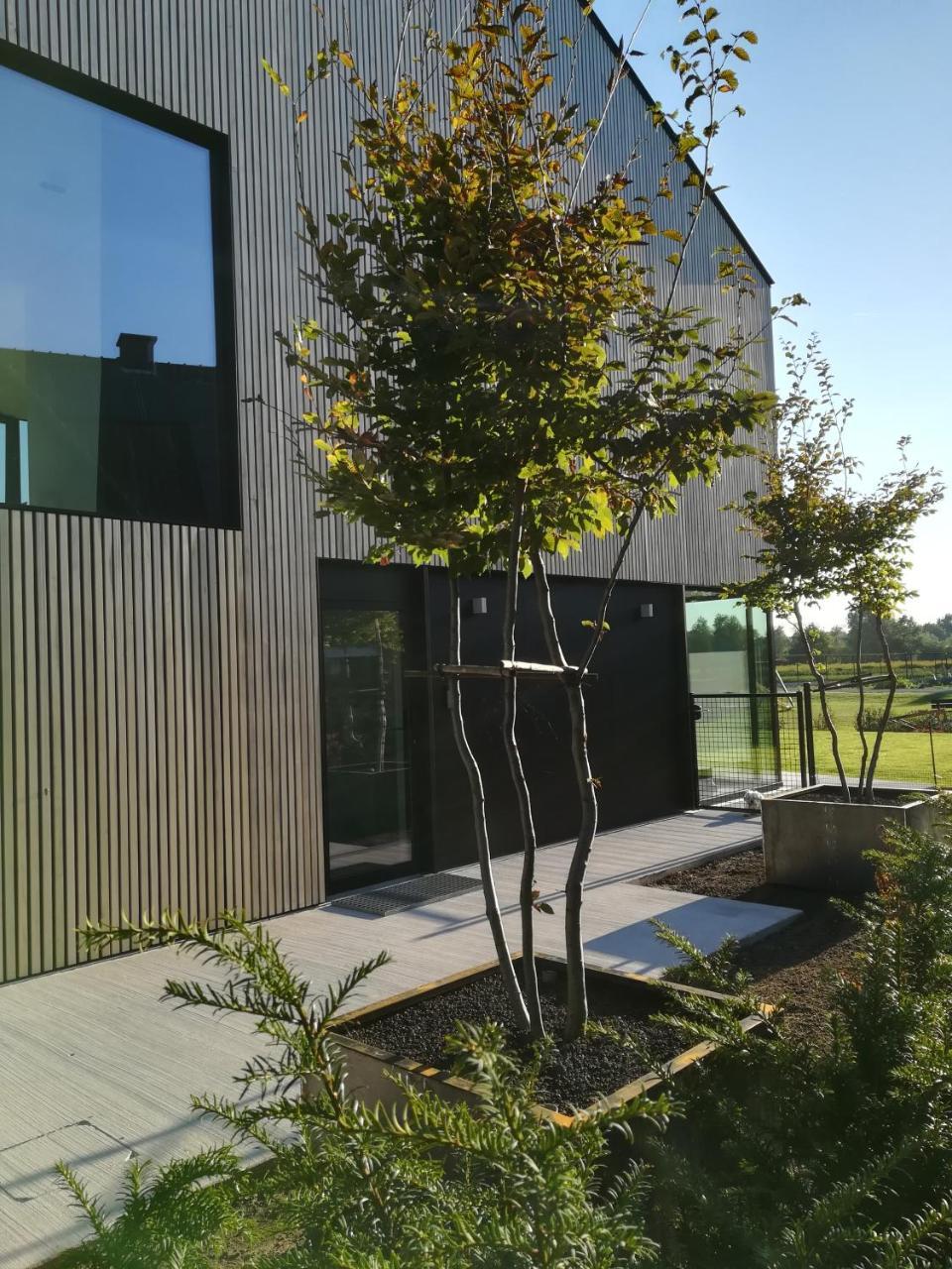 Wetteren B&B De Stuifduinen מראה חיצוני תמונה