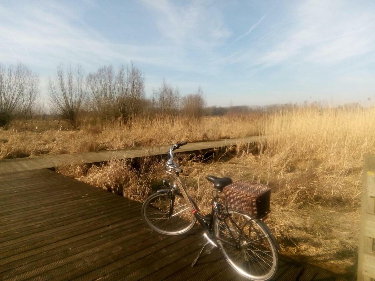 Wetteren B&B De Stuifduinen מראה חיצוני תמונה