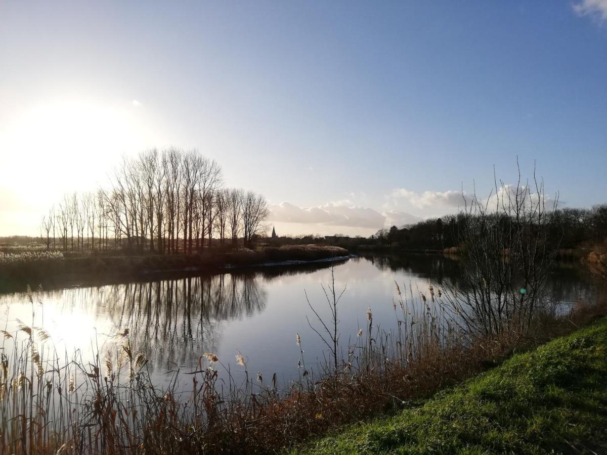 Wetteren B&B De Stuifduinen מראה חיצוני תמונה